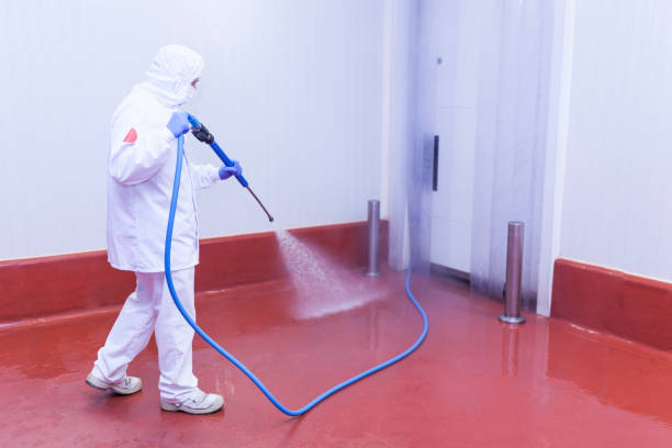 Best Graffiti Removal  in Honeyville, UT